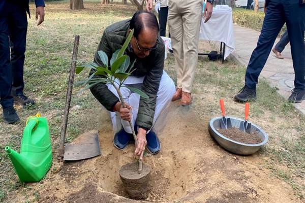 मुख्यमंत्री श्री चौहान ने नई दिल्ली प्रवास पर किया पौध-रोपण