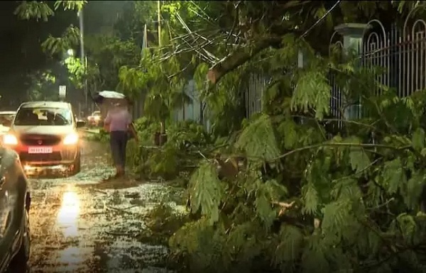 पश्चिम बंगाल के तटीय क्षेत्रों में आंधी तूफान के भारी भारी से जनजीवन अस्त व्यस्त, पेड़ गिरे, कई घायल