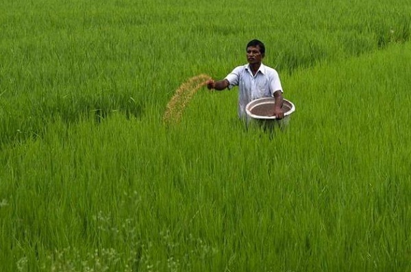 खेत-खलिहान के प्रयोगधर्मियों के नवाचारों को संरक्षण आज की जरूरत