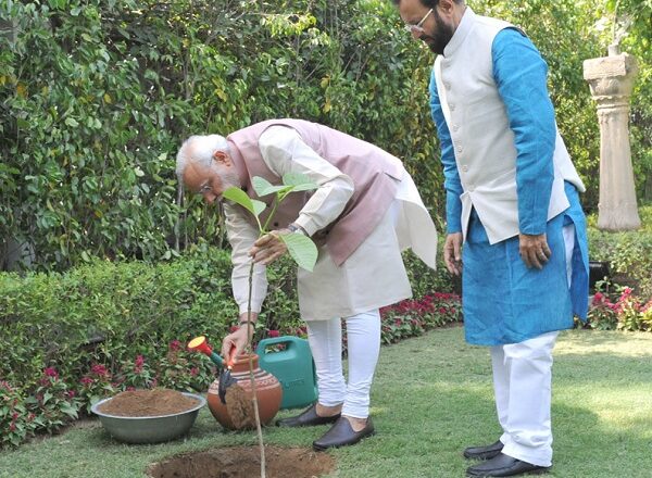 लोक ही नहीं परलोक सुधारने का जतन है ‘मां के नाम एक पेड़’