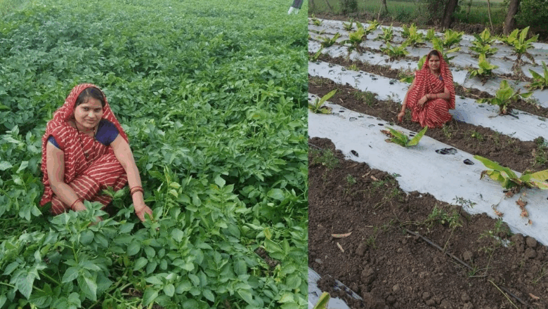 खेती में बदलाव की अग्रदूत बन रही हैं महिलाएं, प्राकृतिक खेती से सशक्त हो रहा ग्रामीण भारत