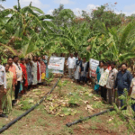 गुजरात के डांग जिले की मंगीबेन को प्राकृतिक खेती ने बनाया लखपति दीदी