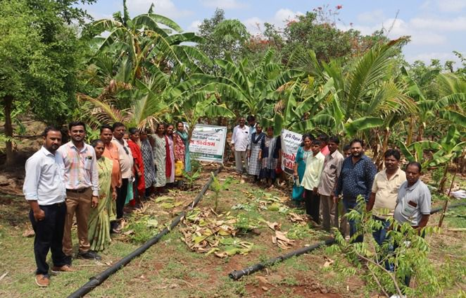 गुजरात के डांग जिले की मंगीबेन को प्राकृतिक खेती ने बनाया लखपति दीदी
