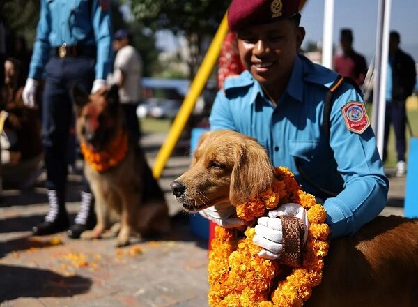 कुकुर तिहार: दिवाली पर कुत्तों की पूजा, फूलों की माला और ढेर सारा भोग