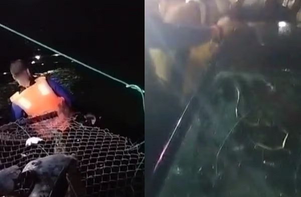 MP: कटनी में ऑटो से टकराकर नदी में गिरी तेज रफ्तार कार, BJP नेता समेत दो की मौत