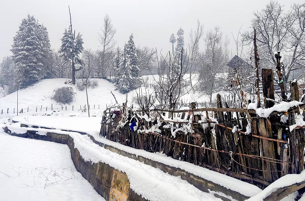 कश्मीर में बर्फवारी और बारिश से बदला मौसम… खूबसूरत घाटियों ने ओढ़ी सफेद चादर