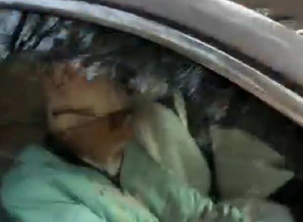 दोस्त धर्मेंद्र का हालचाल लेने खुद गाड़ी चालकर उनके घर पहुंचे अमिताभ बच्चन