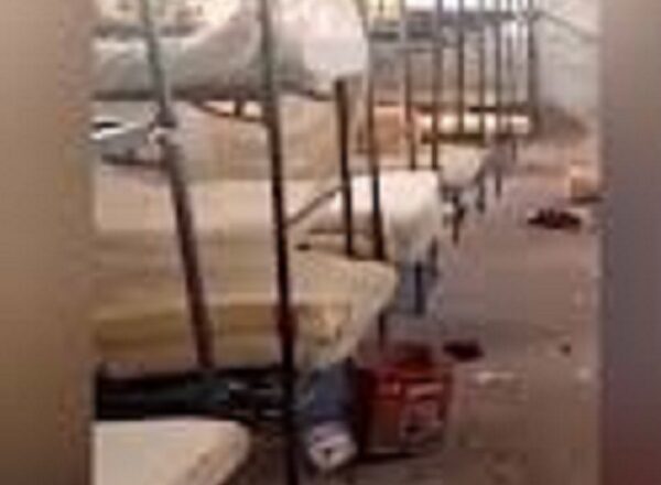 नाइजीरिया के कैथोलिक स्कूल से 200 बच्चों का सामूहिक अपहरण, एक दर्जन शिक्षकों भी शामिल