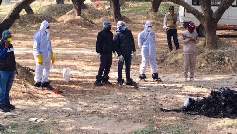 बिहार के दरभंगा में 15 दिनों में 10 हजार कौवों की मौत, बर्ड फ्लू की पुष्टि के बाद हाई अलर्ट… शहर में दहशत का माहौल