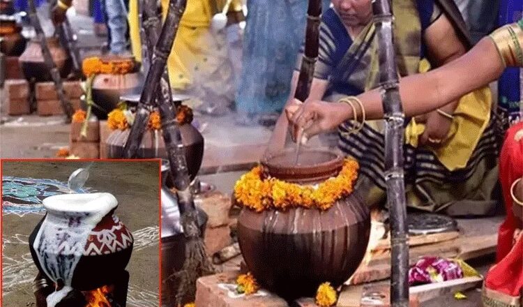 पूरे तमिलनाडु में बिखरी पोंगल की खुशियां, हर्षोल्लास के साथ मना रहे त्योहार