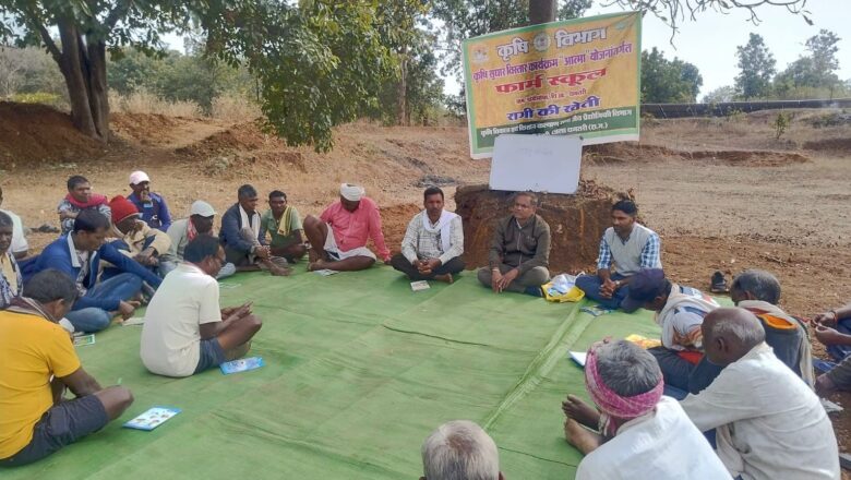 आत्मा योजना से बदली खेती की तस्वीर, गंगरेल उच्चहन क्षेत्र में रागी उत्पादन को बढ़ावा