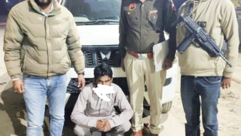 सिरसा: पुलिस ने तीन नशा तस्करों को गिरफ्तार किया, चूरापोस्त और अफीम बरामद