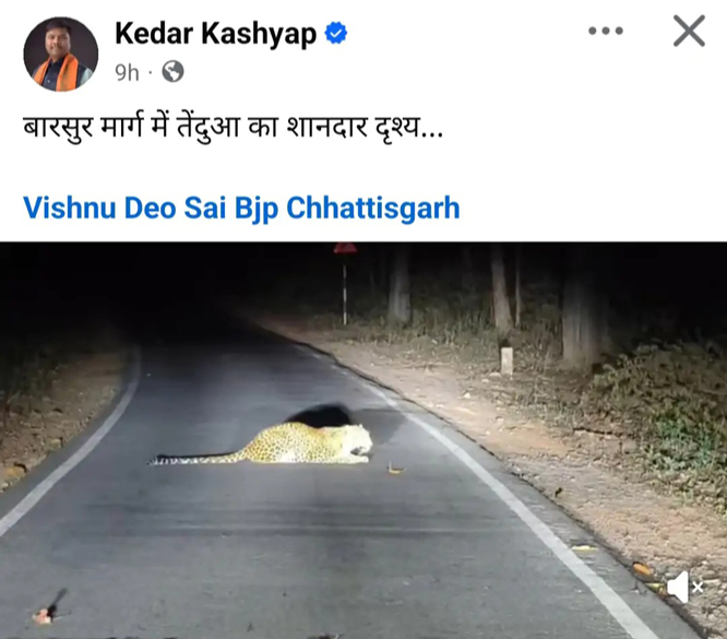 वन मंत्री केदार कश्यप ने तेंदुए के वीडियो को फेसबुक पर साझा किया