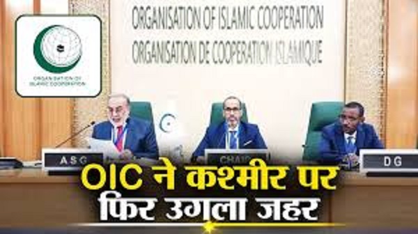 मुस्लिम देशों ने फिर अलापा कश्मीर पर राग, 370 लागू करने की मांग