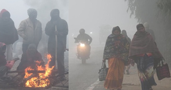 मध्य प्रदेश में ठंड और कोहरे का कहर, न्यूनतम तापमान 4.6 डिग्री तक गिरा
