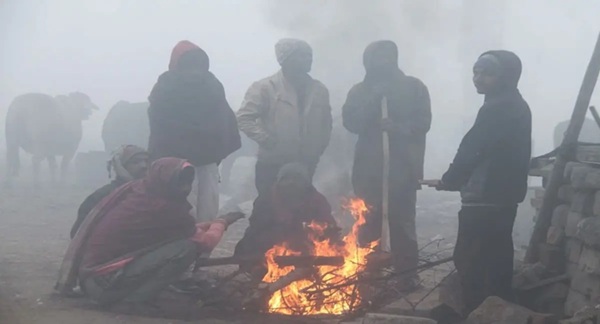 मध्य प्रदेश में ठंड और शीतलहर का कहर, मंदसौर में तापमान 2.5 डिग्री