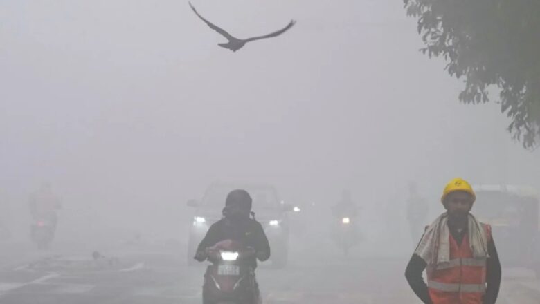 घने कोहरे से मध्य प्रदेश बेहाल, 17 जिलों में दृश्यता घटी, 7 जिलों में शीतलहर का अलर्ट
