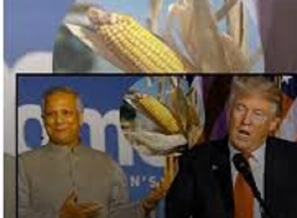 ‘सूअर के मल से उगा मक्का खा रहे बांग्लादेशी’