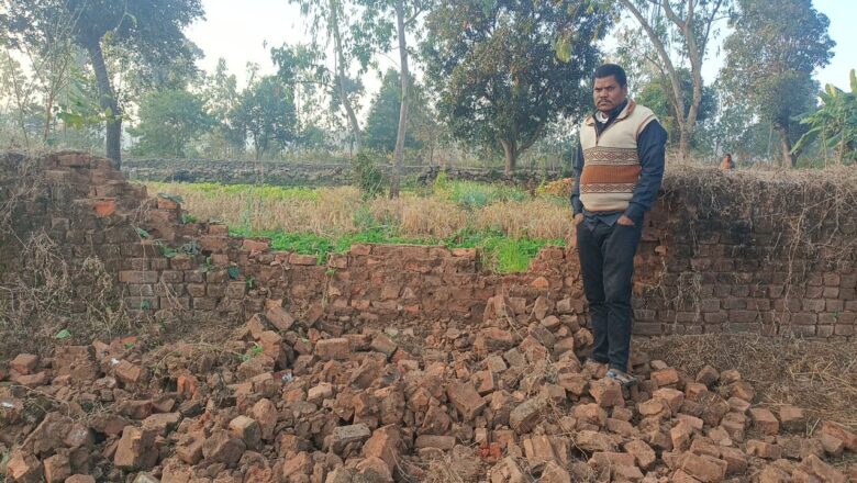 अनूपपुर: धनगवां के जंगल में डेरा जमाया तीन हाथी, रात में अचानक आ जाने का बना रहता डर