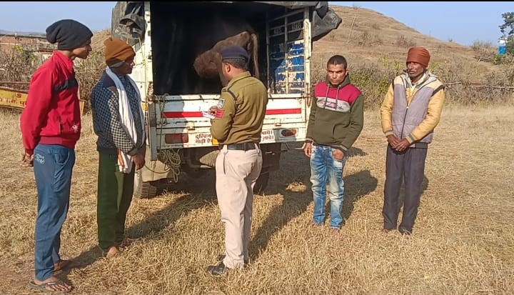 अनूपपुर: बूचड़खाना ले जाई जा रहीं तीन भैंसें जप्त, दो गिरफ्तार
