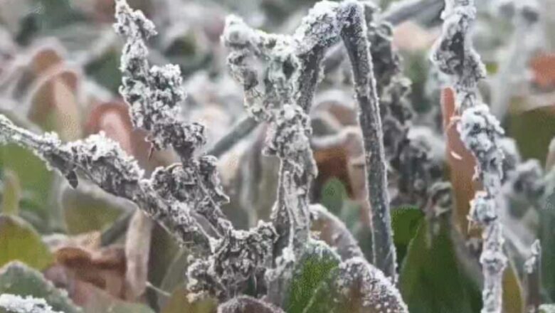 छत्तीसगढ़ के छह जिलों के लिए शीतलहर चलने की चेतावनी