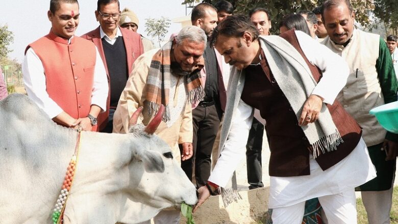 रीवाः उप मुख्यमंत्री शुक्ल ने बसामन मामा गौवंश वन विहार में ऋषि कुलम का किया भूमिपूजन