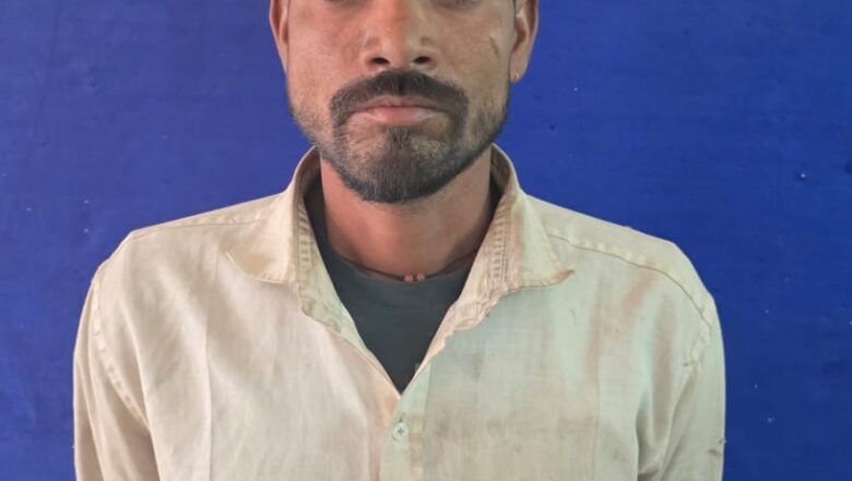 जांजगीर चांपा: हाई टेंशन टावर पर आत्महत्या की धमकी देने वाले व्यक्ति को पुलिस ने गिरफ्तार किया