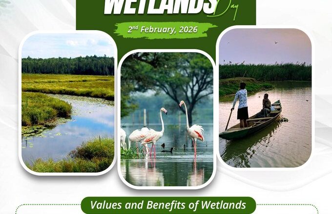 वेटलैंड: पारिस्थितिकी, संस्कृति और आजीविका का नींव भूपेंद्र यादव के अनुसार