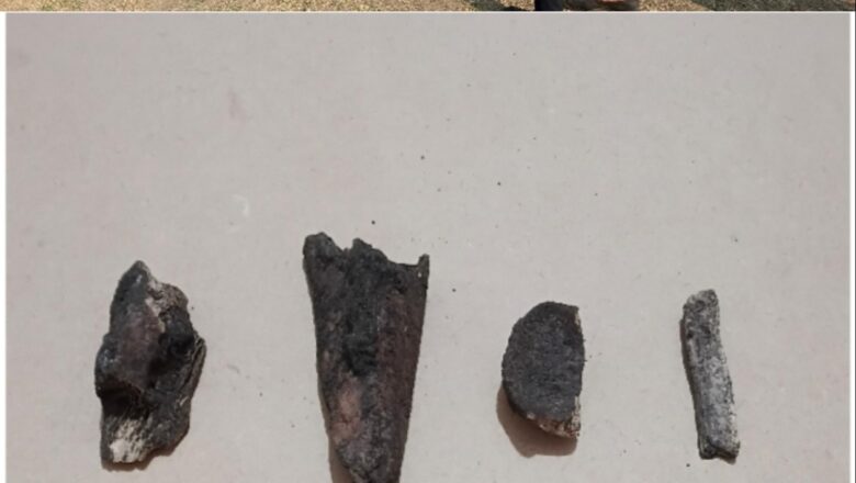 कर्नाटक के लक्कुंडी में पुरातत्व खुदाई: विदेशी एनजीओ ने संग्रहालय और विकास परियोजना में दिलचस्पी दिखाई