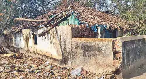 वन विभाग की जमीन नगर पालिका को आवंटित करने की पार्षद की मांग