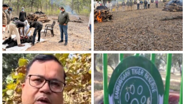 बांधवगढ़ टाइगर रिजर्व में दो भालुओं की संदिग्ध मौत, प्रबंधन का कहना है कि आपसी संघर्ष है कारण