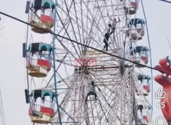 शिवरात्रि मेले के झूले पर मधुमक्खियों का हमला, तीन बच्चे घायल