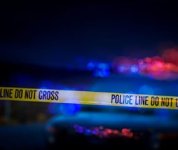 UAE में भ्रामक वीडियो पोस्ट करने के आरोप में 35 लोग गिरफ्तार… 19 भारतीय भी शामिल