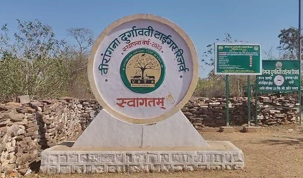 मुख्यमंत्री डॉ. यादव वीरांगना दुर्गावती टाइगर रिजर्व में बुधवार को रिलीज करेंगे कछुए