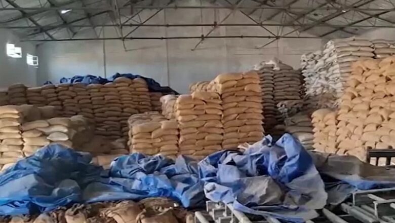 MP: ओबेदुल्लागंज के वेयर हाउस में सड़ गया 35 करोड़ रुपये कीमत का हजारों टन गेहूं!