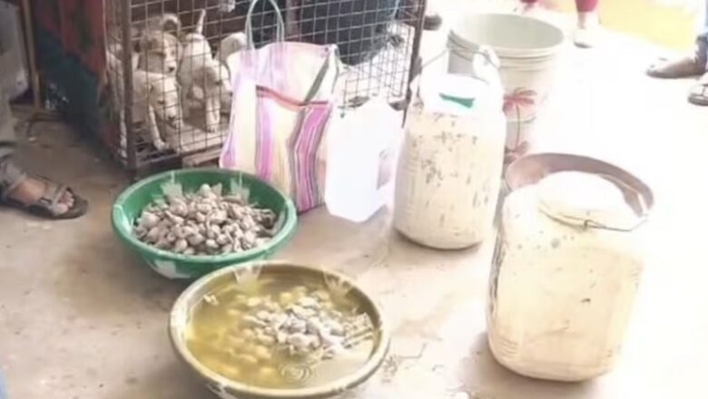 MP: मंडला में एक घर से 795 कुत्तों के रिप्रोडक्टिव ऑर्गन्स बरामद… नसबंदी के नाम पर घोटाले की आशंका