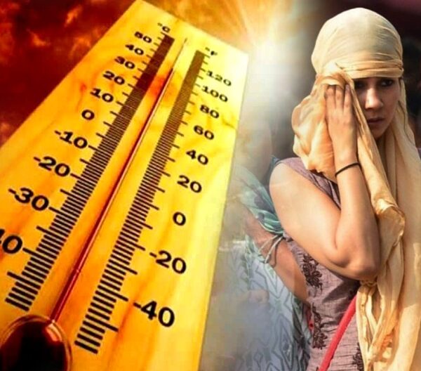 भीषण गर्मी से वैश्विक कृषि सिस्टम तबाही की कगार पर… 100 करोड़ लोगों की आजीविका पर संकट