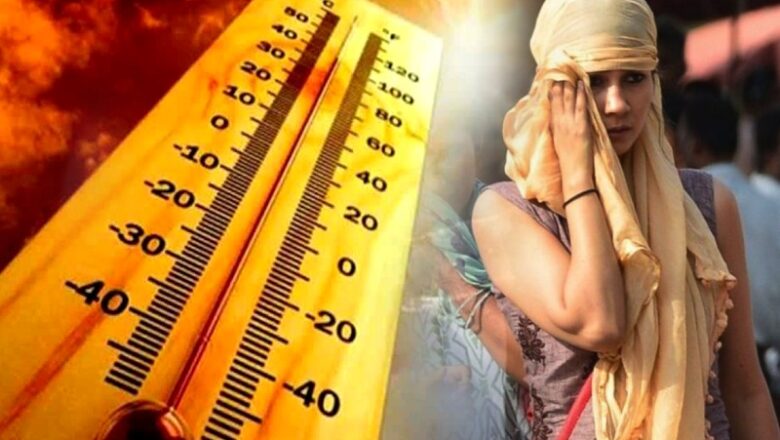 भीषण गर्मी से वैश्विक कृषि सिस्टम तबाही की कगार पर… 100 करोड़ लोगों की आजीविका पर संकट