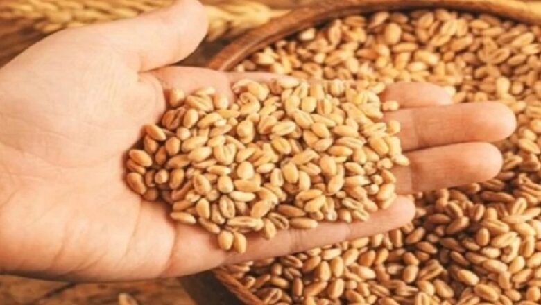 MP: समर्थन मूल्य पर अब तक 7103 किसानों से हुई 30 हजार 619 मीट्रिक टन गेहूँ की खरीदी