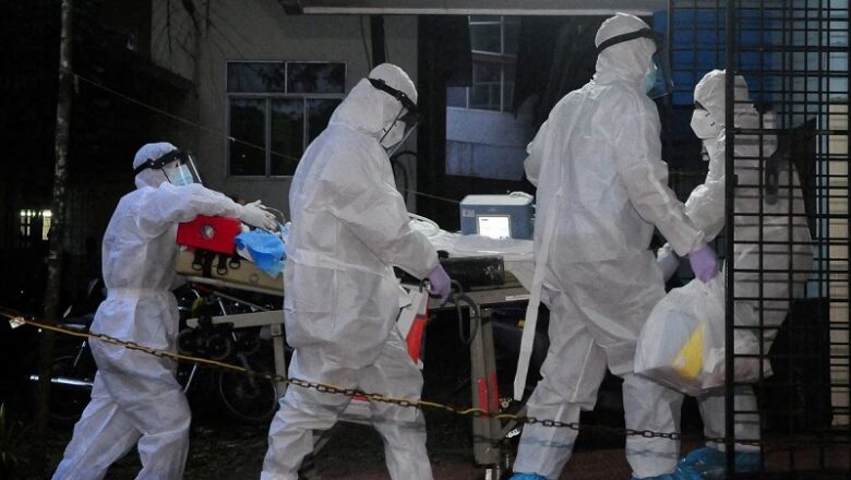 CG: दुर्ग जिले में अफ्रीकन स्वाइन फीवर’ का कहर…., 83 सुअरों को मारकर दफनाया