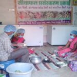 सीताफल उत्पादन एवं प्रसंस्करण से महिला स्व-सहायता समूहों की आर्थिक स्थिति में सुधार