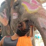 MP: उज्जैन में महाकाल की सवारी से पहले हाई वॉल्टेज ड्रामा, ‘हाथी’ के ब्लड सैंपल देने से महावत का इनकार