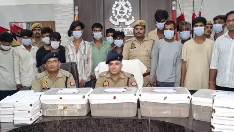 UP: हरदोई में हाई-प्रोफाइल चोरी… खाने में नींद की दवा मिलाकर घर में रखे 1.29 करोड़ कैश उड़ा ले गए नौकर, 16 पकड़ाए