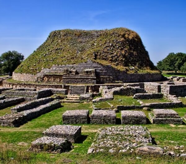 ऐतिहासिक विरासत ‘तक्षशिला’ खतरे में….. UNESCO ने पाकिस्तान को दी चेतावनी