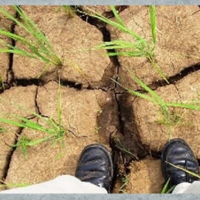 मानसून की चुनौती: आखिर स्मार्ट शहर भी क्यों हो रहे हैं बेबस?