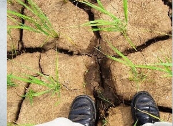 मानसून की चुनौती: आखिर स्मार्ट शहर भी क्यों हो रहे हैं बेबस?