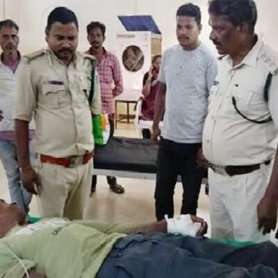 MP: बांधवगढ़ रिजर्व में बाघिन ने चरवाहे पर हमला…. भैंसों ने बचाई उसकी जान