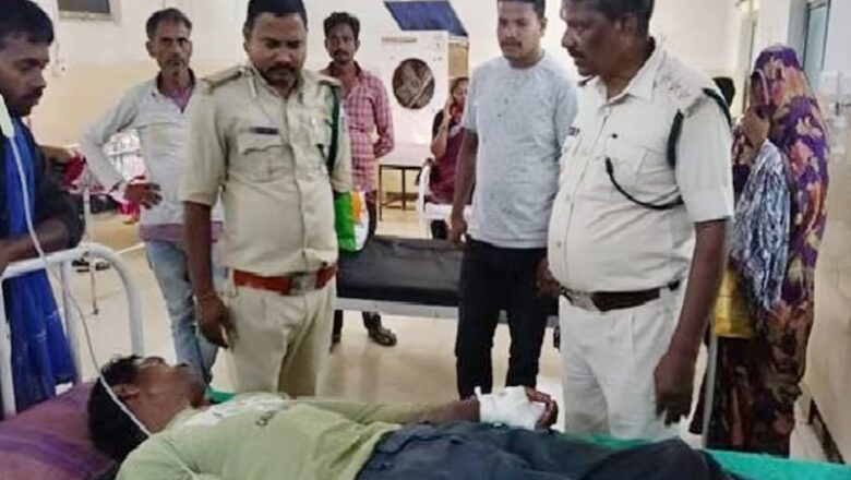 MP: बांधवगढ़ रिजर्व में बाघिन ने चरवाहे पर हमला…. भैंसों ने बचाई उसकी जान