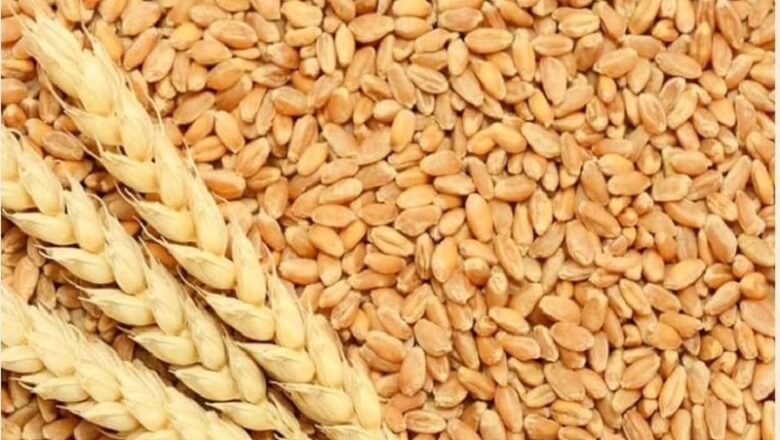 गरीब की थाली पर महंगाई की मार…. 4% तक बढ़े गेहूं के दाम…. आटा-रोटी पर असर