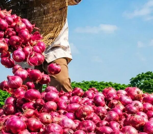 मिडिल ईस्ट तनाव का असर….कच्चे तेल ने बिगाड़ा खेल, गेहूं-प्याज की कीमतों में भारी उछाल